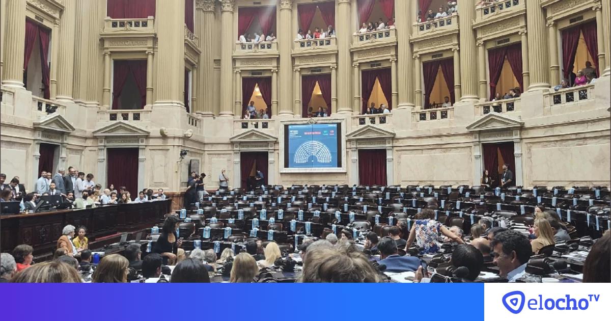 Diputados El Oficialismo Consigui Convertir En Ley La Moratoria