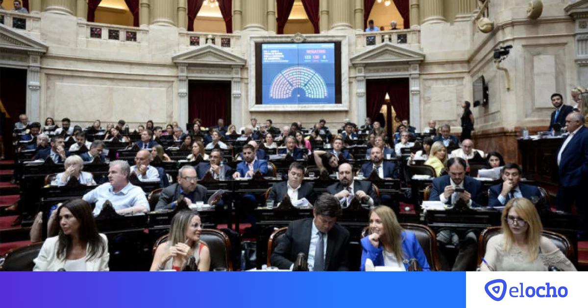 Ley Ómnibus Diputados aprobó facultades delegadas El Ocho