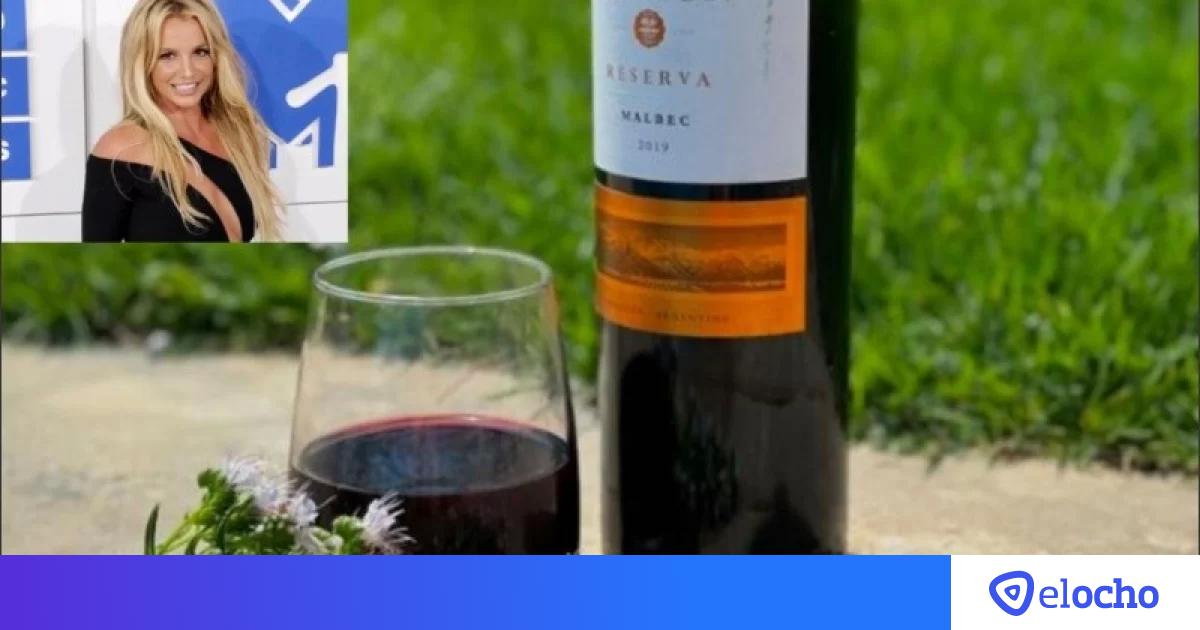 Britney Spears mostró el vino argentino que toma y las redes sociales