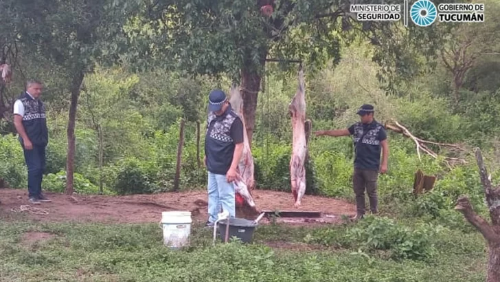 Los atraparon con 100 kilos de carne faenada de manera irregular