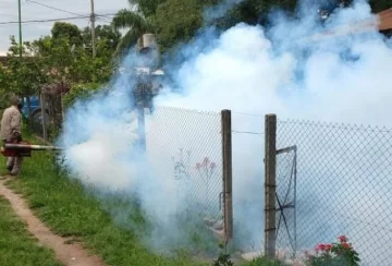 Ya son 27 los casos de Dengue en la provincia