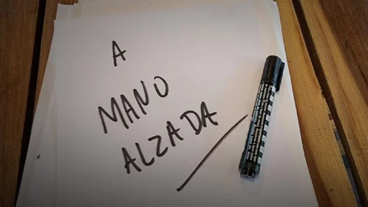 A mano alzada: qué es el dólar agro y por qué es una devaluación en cuotas