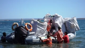 Recogen bolsones de plástico en Península Valdés: Chubut acusa a pesqueros de contaminar las playas