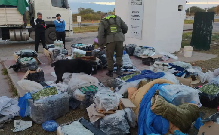Operativo Lapacho: secuestraron 574 kilogramos de hoja de coca y 55 neumáticos