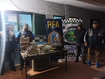 La Policía Federal Argentina liberó aves exóticas capturadas ilegalmente para su comercialización en Tucumán