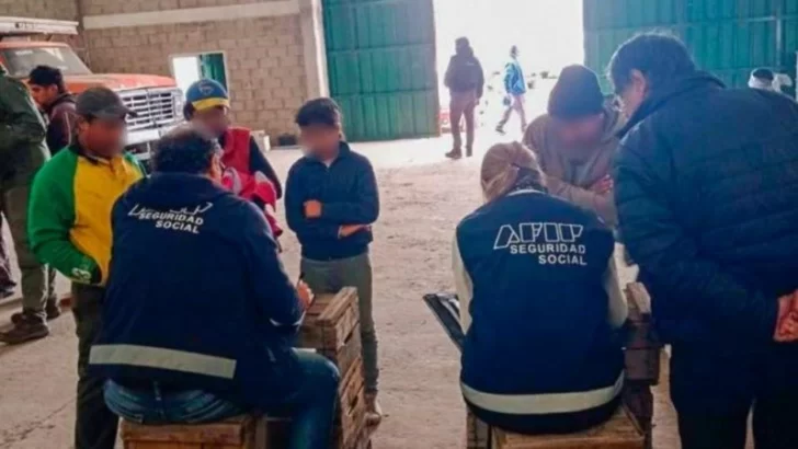 Corrientes: allanaron una finca de cultivos por una denuncia de trata con fines de explotación laboral