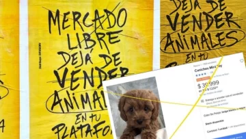 Liberación animal: una campaña que pide que Mercado Libre deje de vender mascotas