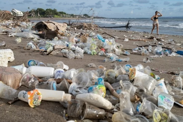 Día Mundial de los Océanos: contaminación, calentamiento global y sobrepesca