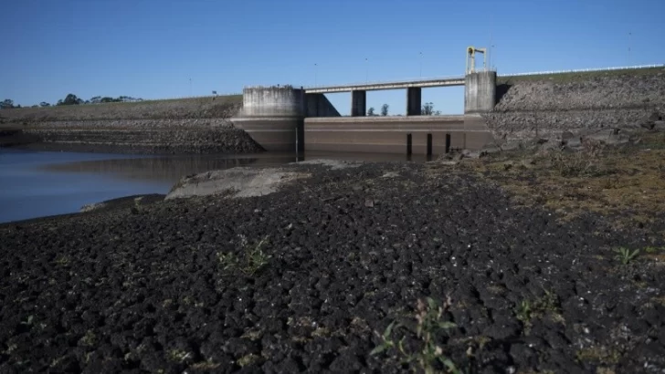 Crisis hídrica en Uruguay: la falta de lluvias y la escasez de reservas amenazan con dejar sin agua potable a millones de personas