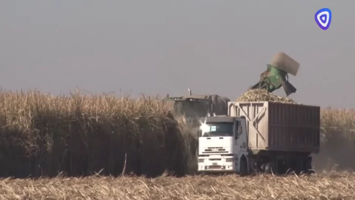 Debido la intensa sequía, se declaró la emergencia agropecuaria en Tucumán