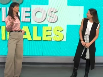 Conocé los videos virales de la semana que alegraron corazones y conquistaron las redes sociales