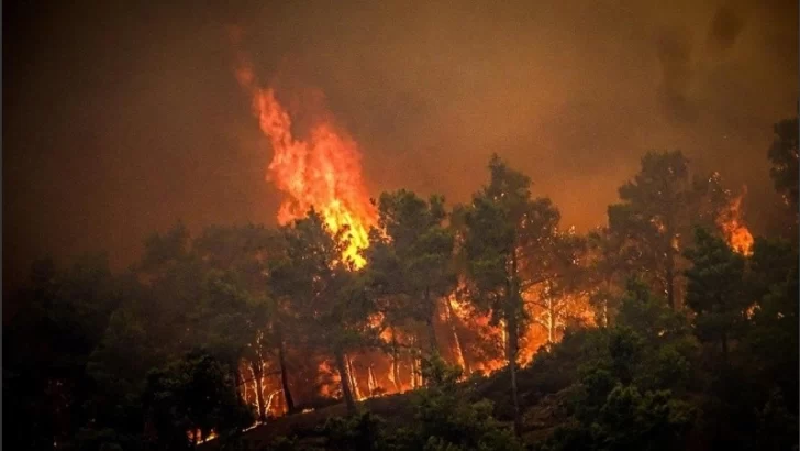 Los incendios están fuera de control en Europa y la ONU adelantó que se trata de la era “de la ebullición global”