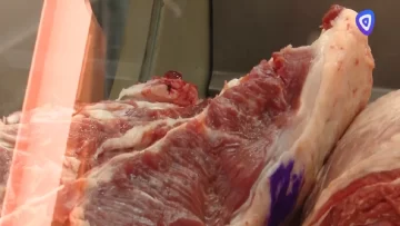 El Gobierno nacional aclaró que no se suspendieron las exportaciones de carne