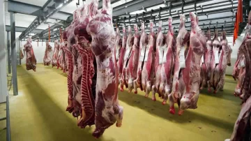 El Gobierno nacional suspendió la exportación de carne durante 15 días