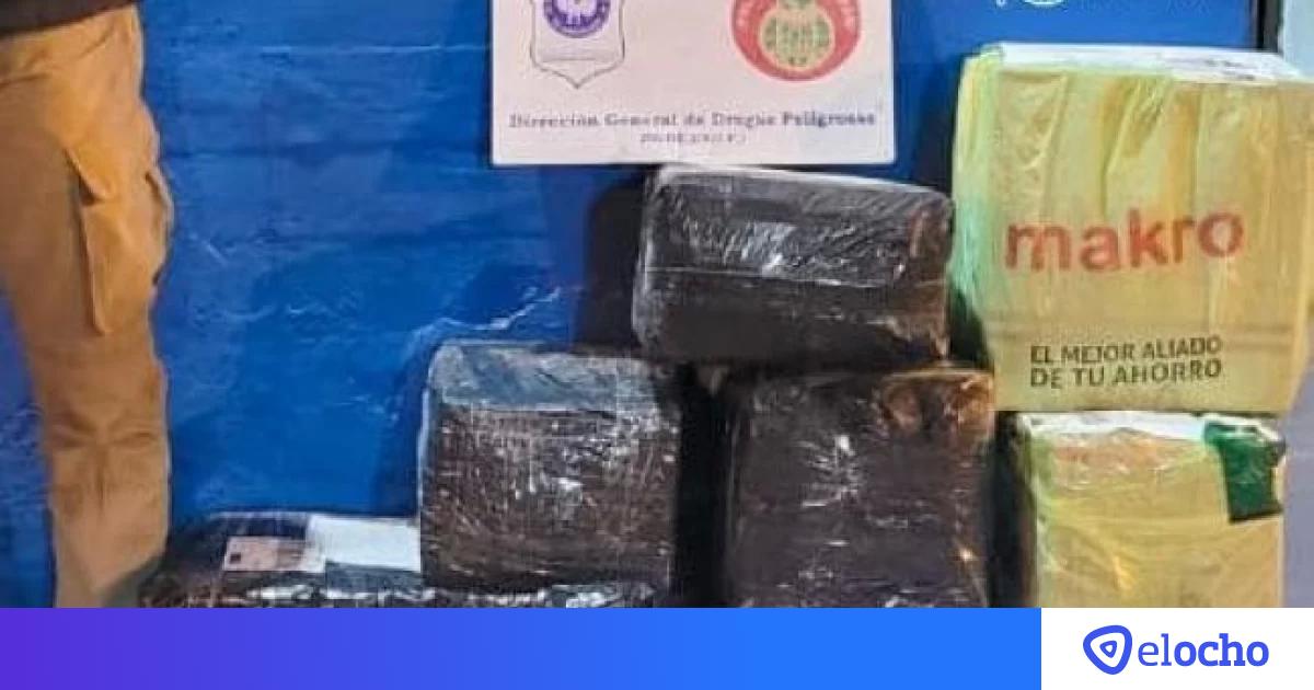 Trancas Secuestraron Alrededor De 50 Kilos De Hojas De Coca El Ocho 6256