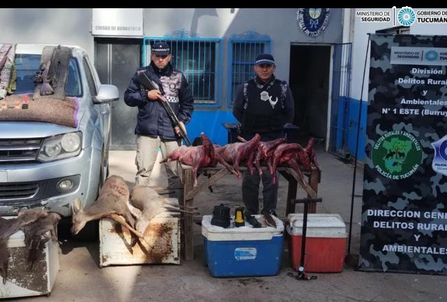 Secuestran armas empleadas en la caza furtiva