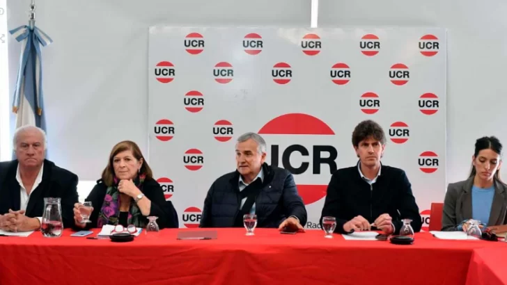 La UCR indicó que no apoyará a ningún candidato en el balotaje