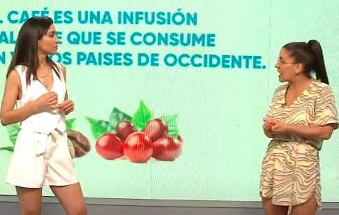 El Café: una infusión rica en beneficios y sabor