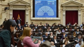 Diputados dio media sanción al proyecto que establece la devolución del IVA para productos de la canasta básica