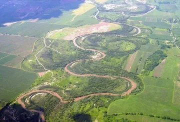 El Gobierno de Tucumán indicó que la mortandad de peces no se debe a contaminación