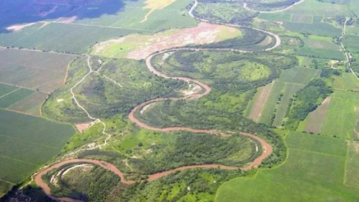 El Gobierno de Tucumán indicó que la mortandad de peces no se debe a contaminación