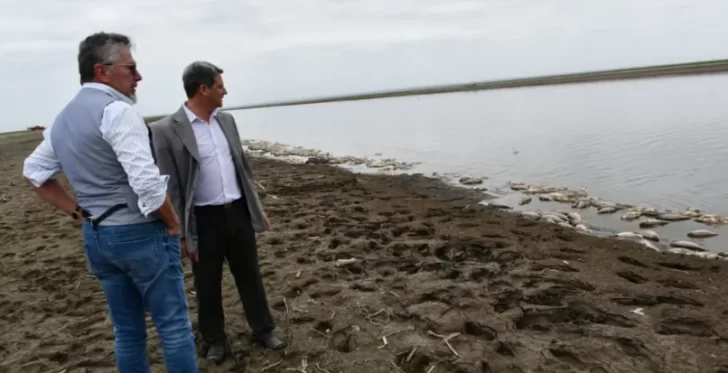 Investigan el origen de la muerte de miles de peces en la cuenca Salí-Dulce