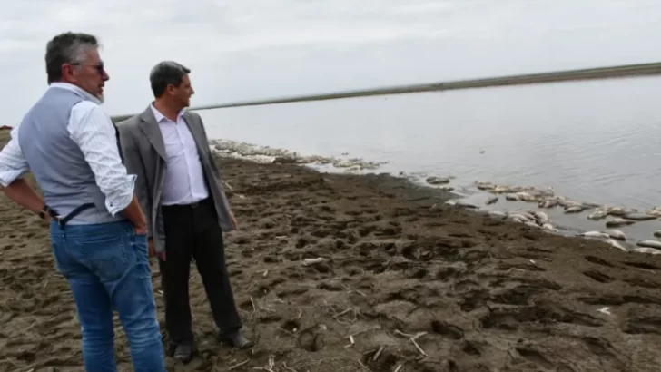 Investigan el origen de la muerte de miles de peces en la cuenca Salí-Dulce