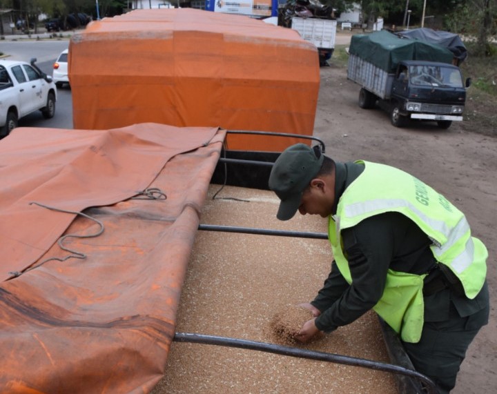 Camiones circulaban con 126 toneladas de trigo y 60 toneladas de soja sin el aval legal