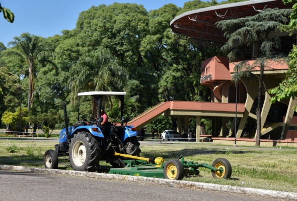 Realizan un operativo de limpieza y desmalezamiento en el parque 9 de Julio