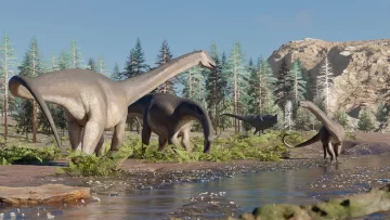 Hallaron una nueva especie de dinosaurio herbívoro en la provincia de Neuquén