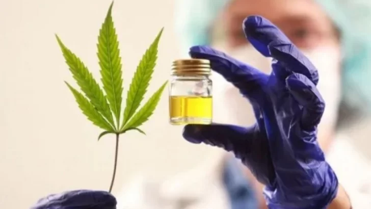 Laboratorios de Argentina realizaron un estudio conjunto para analizar el cannabis medicinal