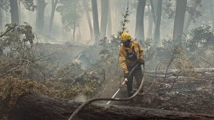 Los incendios en Los Alerces y Nahuel Huapi “están próximos a controlarse”