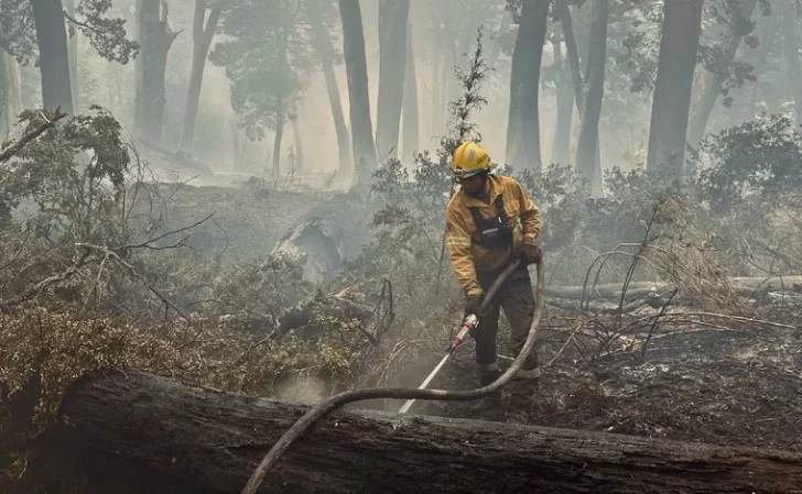 Los incendios en Los Alerces y Nahuel Huapi “están próximos a controlarse”