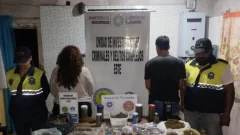 La Policía encontró un “vivero” de marihuana y detuvo a dos personas