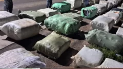 Operativo Lapacho: se concretó un brutal decomiso valuado en 300 millones de pesos