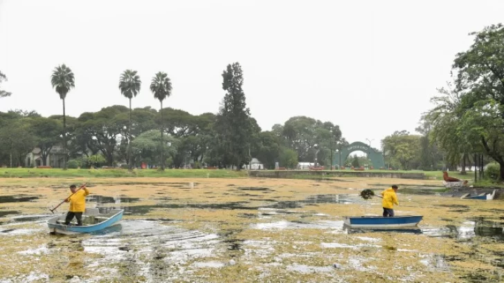 Recuperación del Lago San Miguel: retiran 15 toneladas de basura