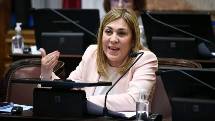 Beatriz Ávila habló tras la polémica en el Senado: “presentaremos un proyecto para dejar sin efecto lo de ayer”