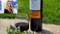 Britney Spears mostró el vino argentino que toma y las redes sociales estallaron
