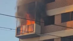 Prendió fuego el departamento cuando intentó hacer un repelente casero con citronela