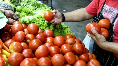 Proponen no comprar tomate 10 días por los precios elevados