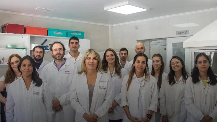 Científicos de la UNT y el CONICET desarrollaron una nueva molécula para combatir el Parkinson