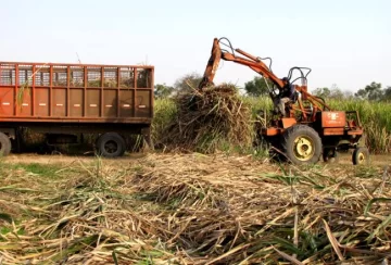 El desarrollo de la industria sucroalcoholera progresa de manera positiva