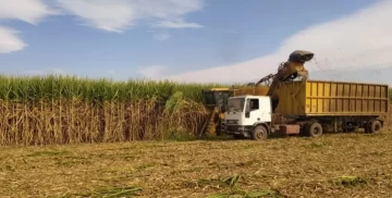 Se levantó el paro de FOTIA anunciado para este miércoles