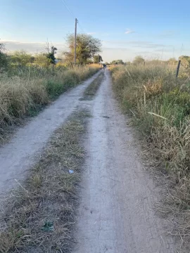 Un hombre asesinó a su pareja y luego se quitó la vida