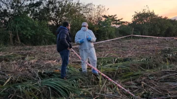 Confirmaron que los restos hallados en unos cañaverales de Concepción son de Matías Medina