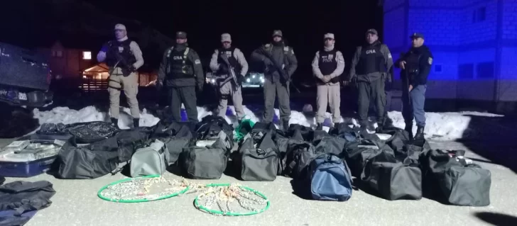 Fuerzas federales desbarataron una banda narco con conexiones internacionales