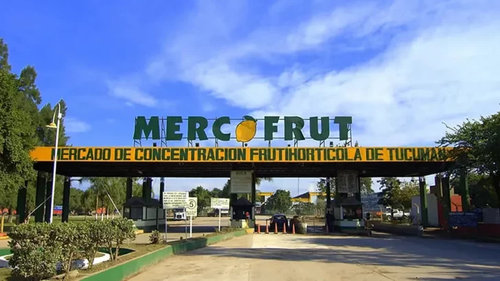 Mercofrut: precios en alza por las heladas