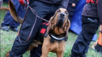 Caso Loan: buscan restos humanos con perros y rastrillan con lanchas las lagunas de la localidad de 9 de Julio