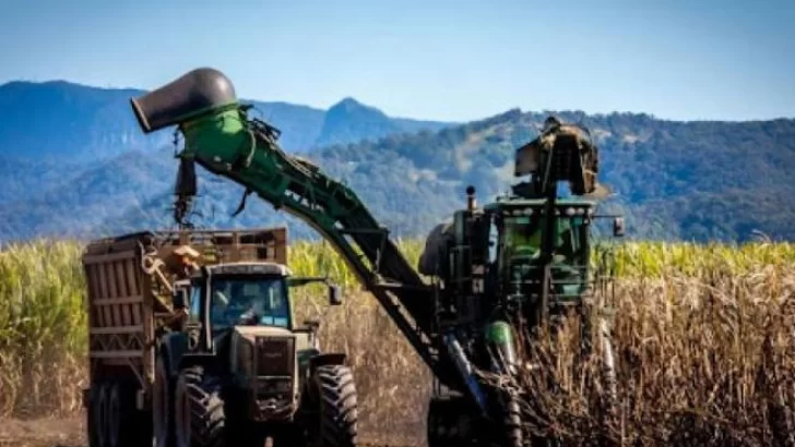 En 117 días la zafra ya alcanzó un 50% de avance