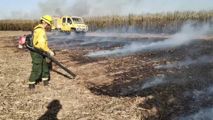 Desde el IPAAT le respondieron al Centro Azucarero sobre la quema de caña